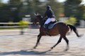 galop 6